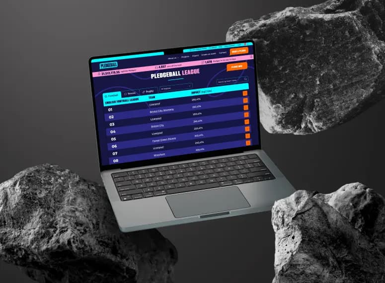 What we build for Pledgeball