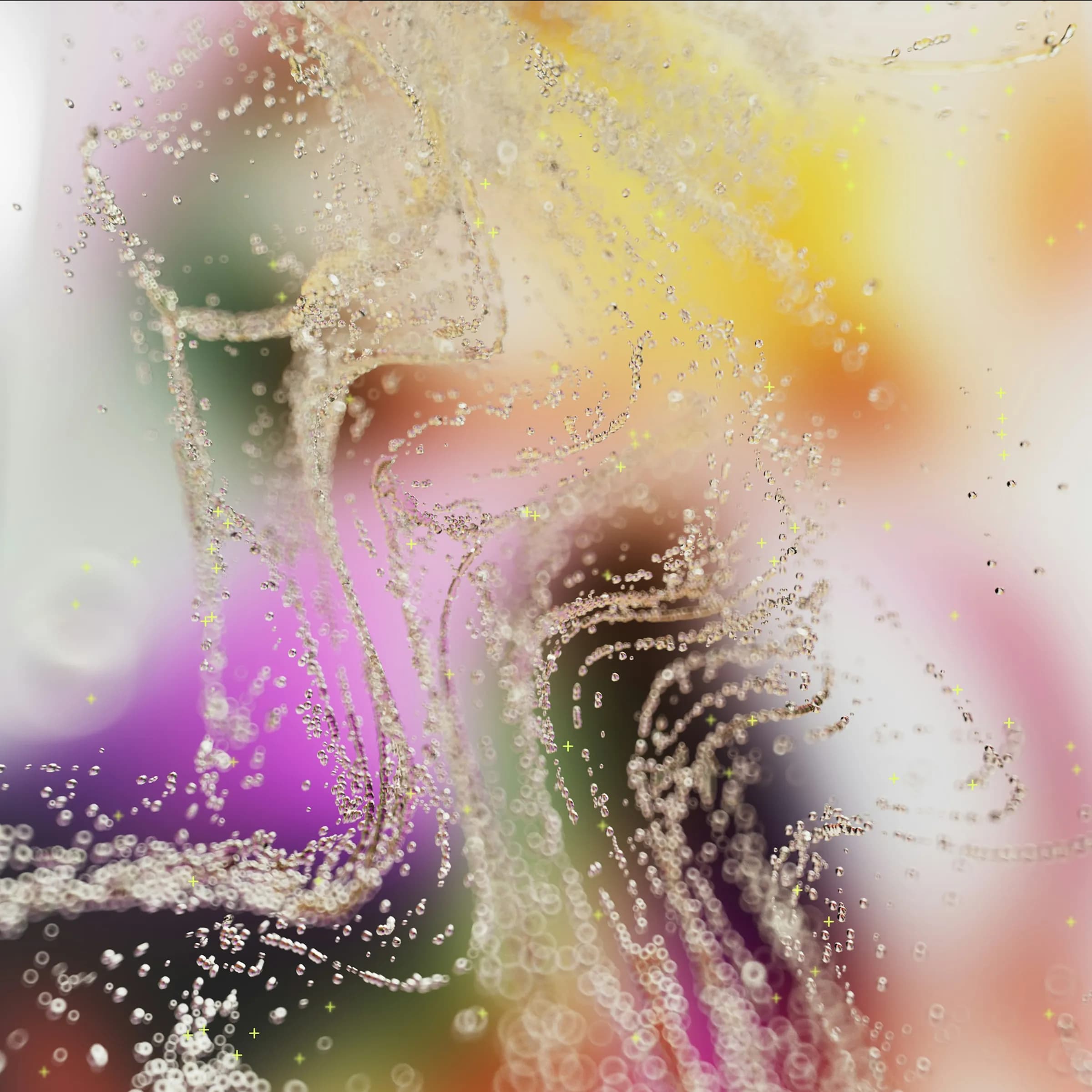 Building Your App? Rust vs Go: A Guide for Business Owners