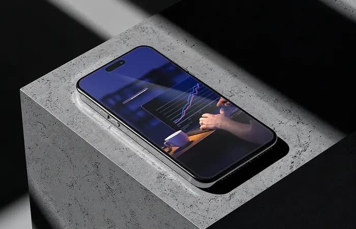 Co-Investment (Commitment)