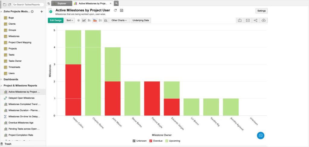 Zoho Projects- Reporting