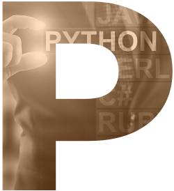 Python Development Services | Systango