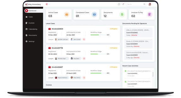 AI-powered Analysis of  High-Volume Legal Documents